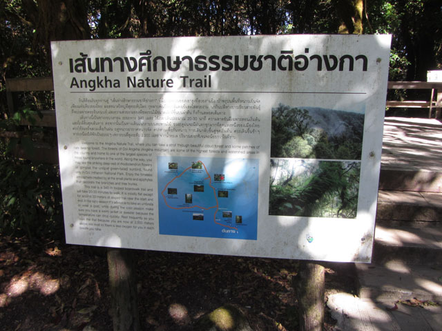泰國 茵他儂國家公園 (Doi Inthanon National Park) 山頂 - Angkha Nature Trail 自然教育徑