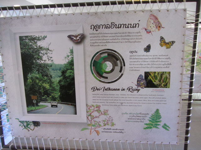 泰國 茵他儂國家公園 (Doi Inthanon National Park) 山頂 - 茵他儂國家公園展覽館