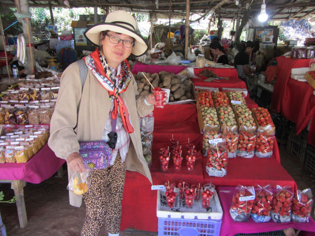 泰國 茵他儂國家公園 (Doi Inthanon National Park) - 少數民族市集 (Tribal Market)