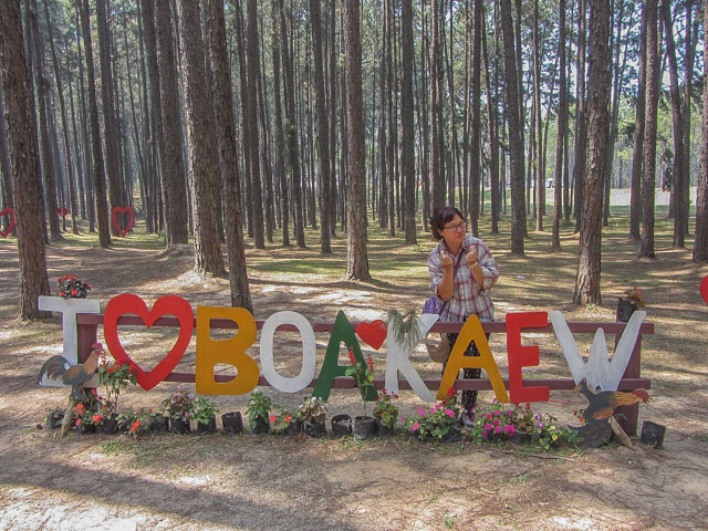泰國 Boa Keaw Pine Park 松樹林公園