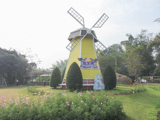 泰國 拜縣 (Pai) Baan Kung Kang De Pai 風車酒店 黃色荷蘭風車