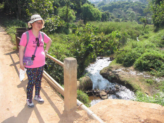 清萊 美斯樂深山 遠足