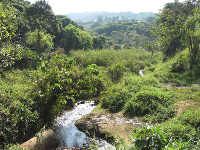 清萊 美斯樂深山 遠足
