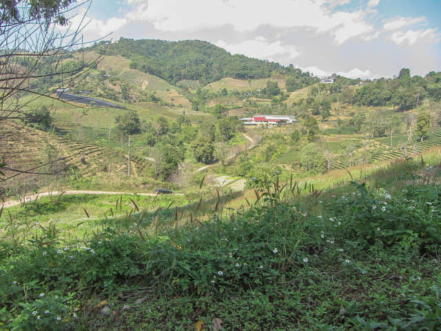 清萊 美斯樂深山 遠足 山谷