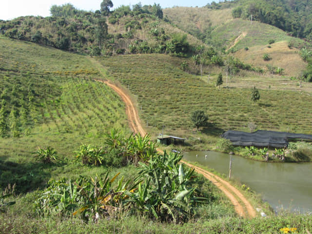 清萊 美斯樂深山 遠足 登山