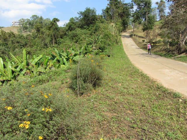 清萊 美斯樂深山 遠足 登山