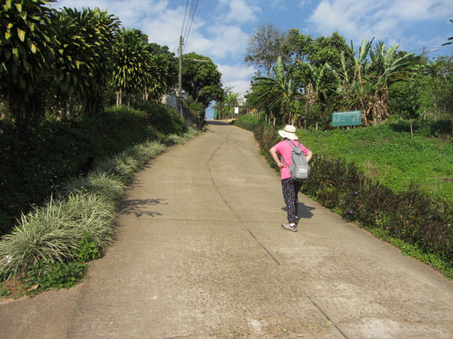 清萊 美斯樂深山 遠足 登山