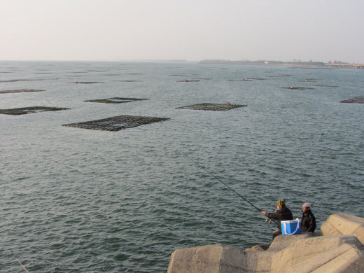 台南安平漁港防波堤 海上漁場
