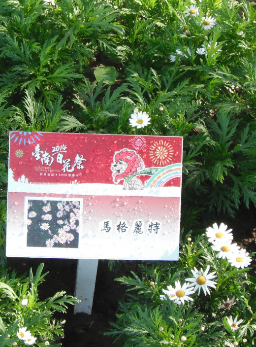 台南公園百花祭