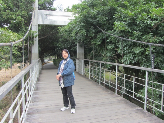 台東森林公園 卑南大圳 綠水橋