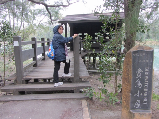 台東森林公園 琵琶湖 賞鳥小屋