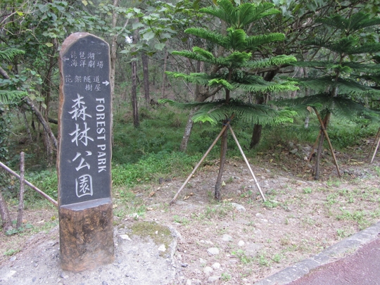 台東森林公園 樹屋