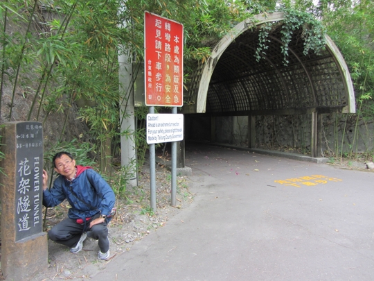 台東森林公園 花架隧道