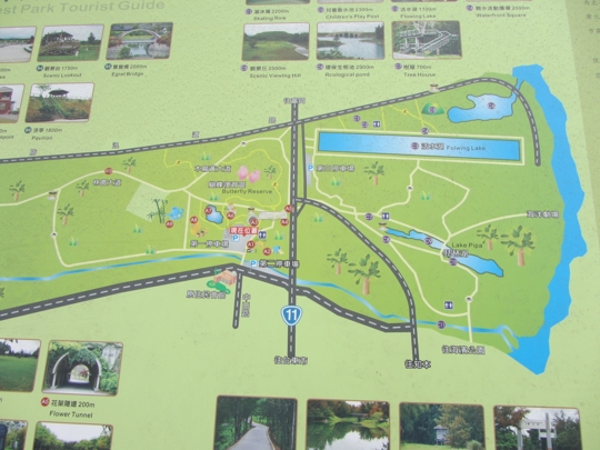 台東森林公園導覽地圖