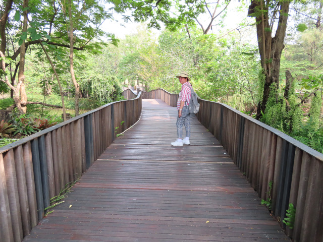 連接詩麗吉王后公園和火車公園的 Bird Wave Bridge