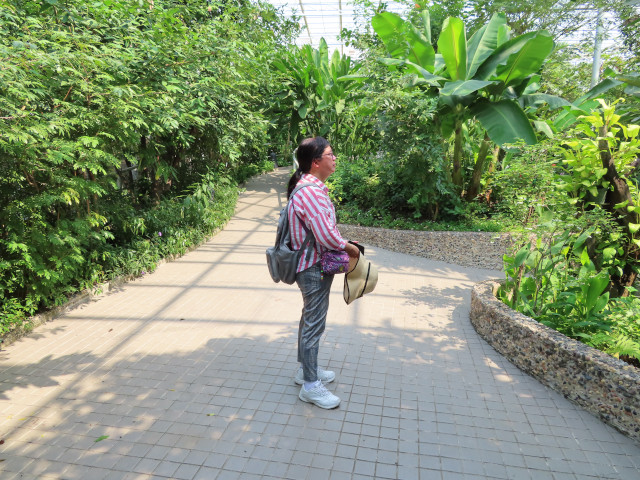 曼谷恰圖恰區 火車公園 蝴蝶博物館