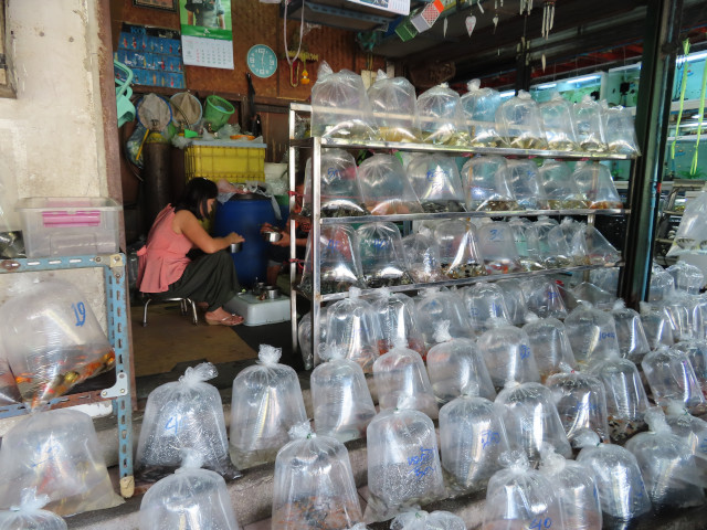 曼谷恰圖恰區 恰圖恰水族市場 
