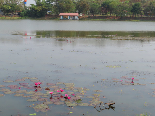 Sakon Nakhon Nong Han 湖生態公園