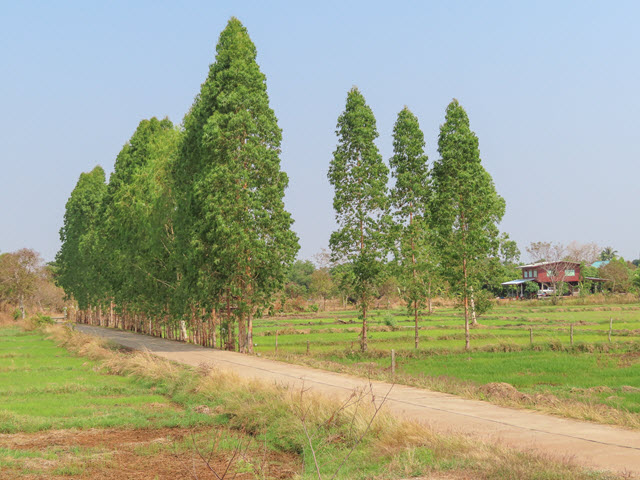 Sakon Nakhon Nong Han 湖畔村莊