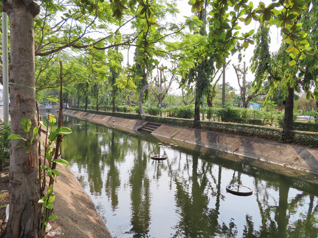 烏汶 Ubon Ratchathani Thung Si Muang Park 公園