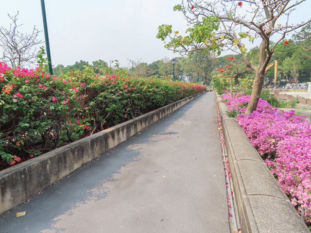 曼谷 班嘉奇蒂公園 Benjakitti Park