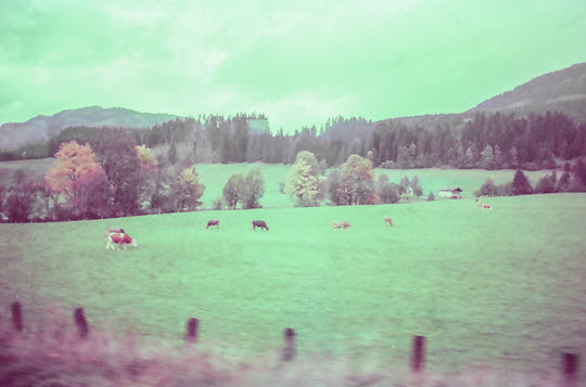 奧地利 Kitzbuhel 到 Zell & See 美麗風景列車路線