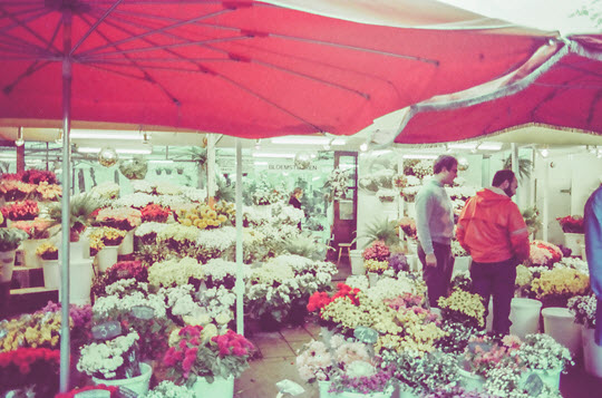 荷蘭阿姆斯特丹花卉市場