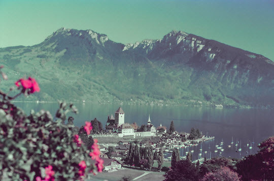 瑞士 Lake Thun 西南岸的施皮茨城堡 (Schloss Spiez)